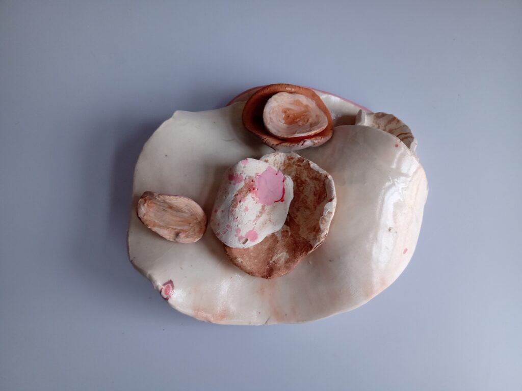 IMG_20240129_094226656